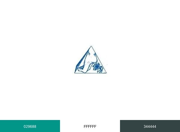European Foot & Ankle Clinic brand color palette