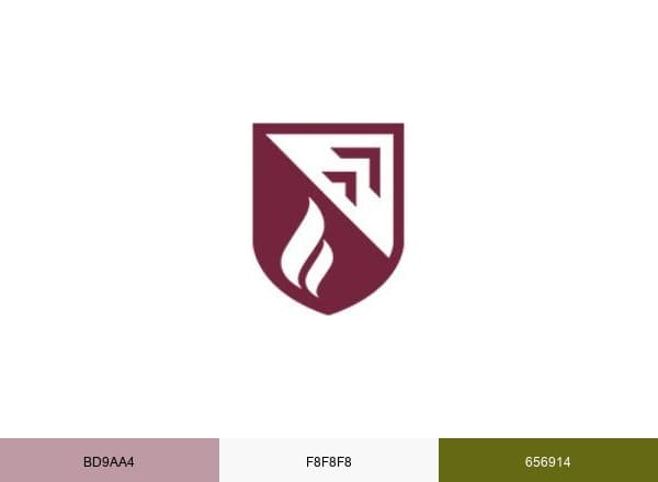 Evangel University brand color palette
