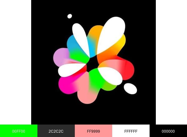 Every Womans Marathon brand color palette