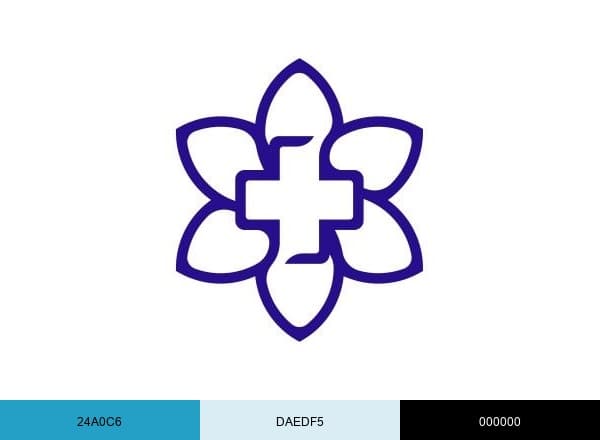 Evolve Family Medicine brand color palette