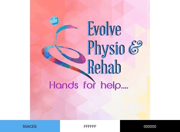 Evolve Physio & Rehab brand color palette
