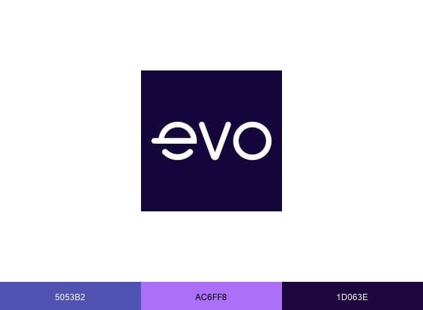 Evo Security brand color palette