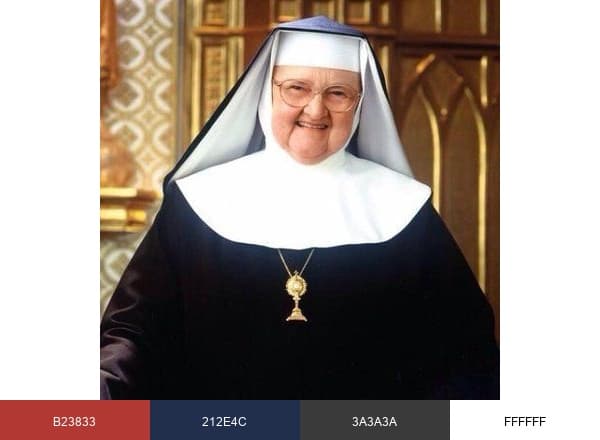 EWTN Rel. Catalogue brand color palette