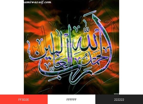 Faiz e Islam brand color palette