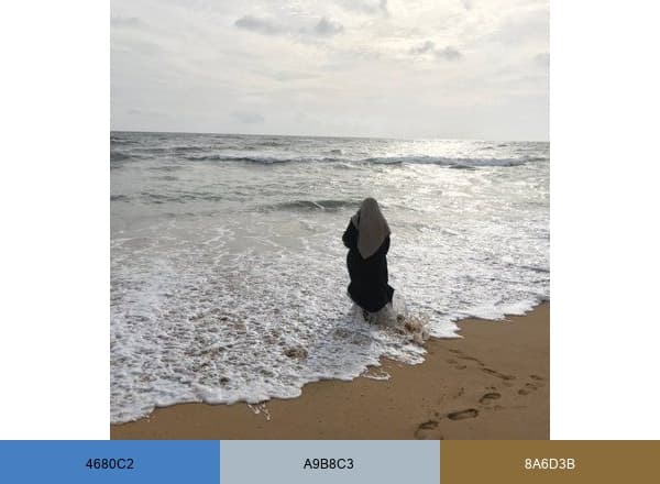 Farhat Hashmi brand color palette