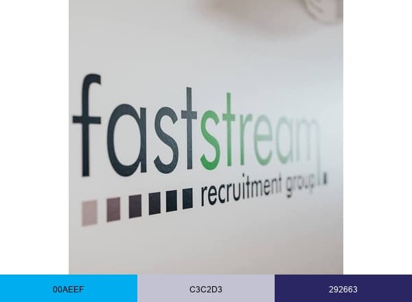 Faststream Seafarers brand color palette