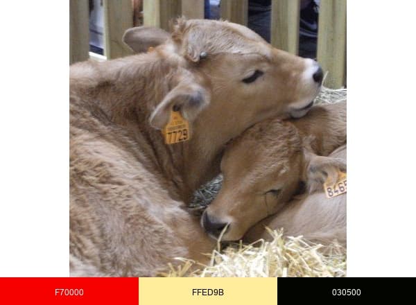Feedipedia brand color palette