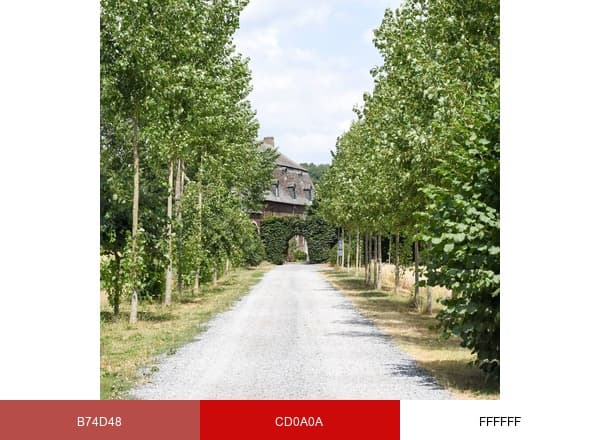 Ferme de l'Hosté brand color palette