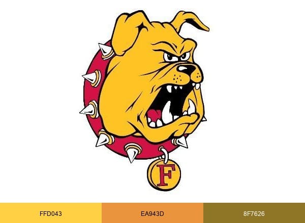 Ferris State Univ. brand color palette