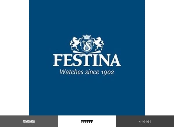 Festina Group brand color palette
