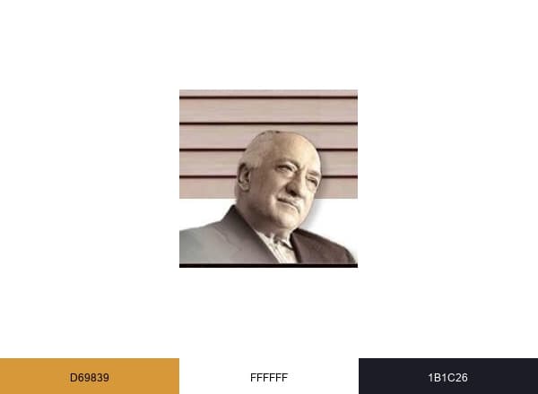 Fethullah Gylen brand color palette