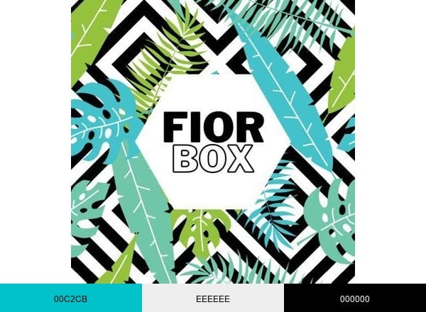Fiorbox brand color palette