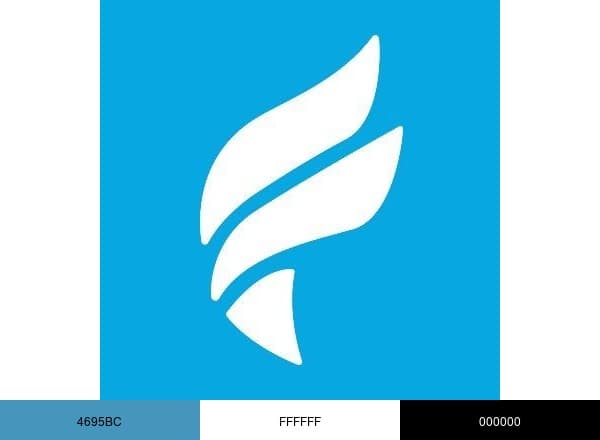 Fleet Feet brand color palette