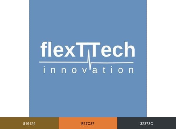 flexTTech Innovation Sdn Bhd. brand color palette