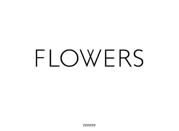 Flowers Gallery brand color palette