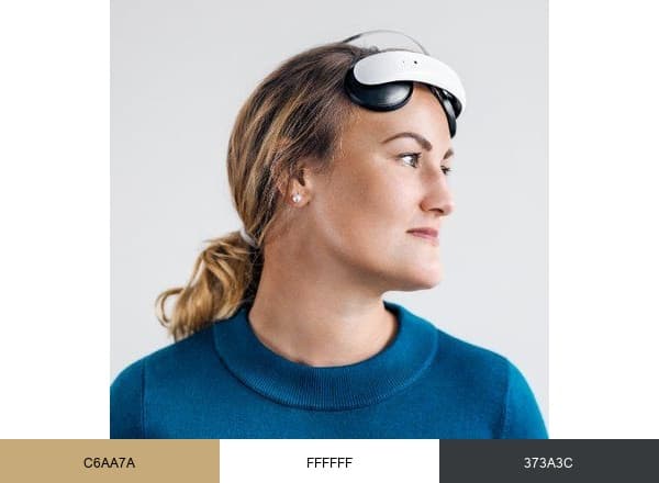 Flow Neuroscience brand color palette
