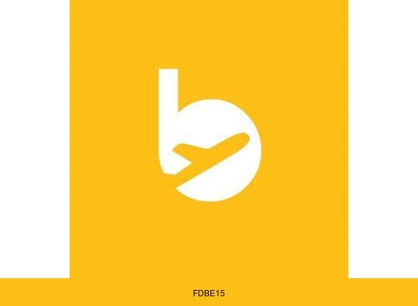 Flybondi brand color palette