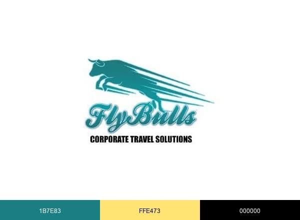 Flybulls Services Pvt Ltd: Taxi Service in Gurgaon brand color palette