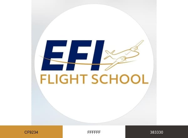 EFI Flight School brand color palette