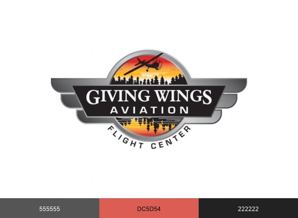Giving Wings Aviation | Traverse City MI brand color palette