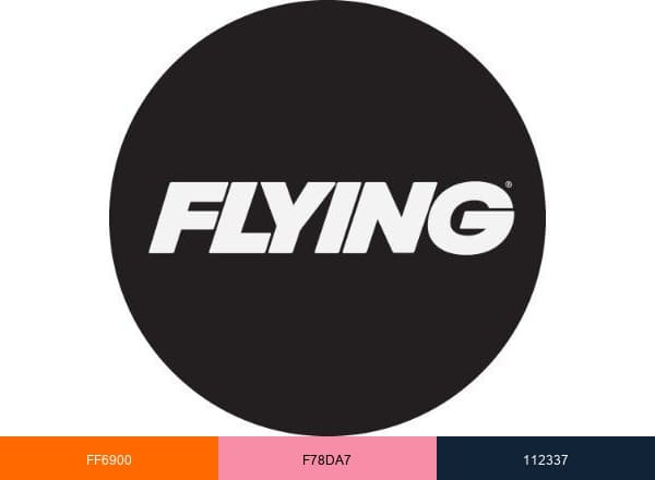 FLYING Magazine brand color palette