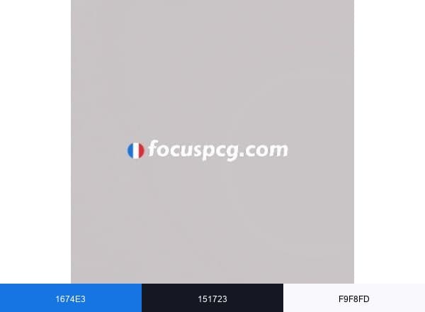Focuspcg brand color palette