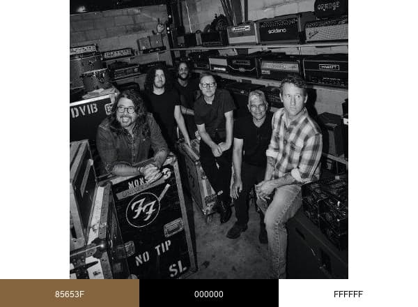 Foo Fighters brand color palette
