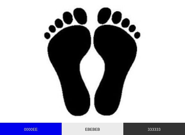 FootPainExp brand color palette