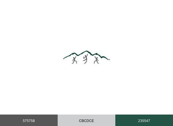Foothills Sports Medicine Physical Therapy brand color palette