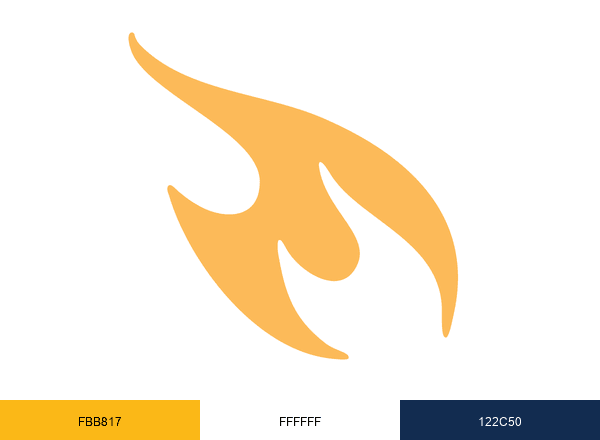 Fortis brand color palette