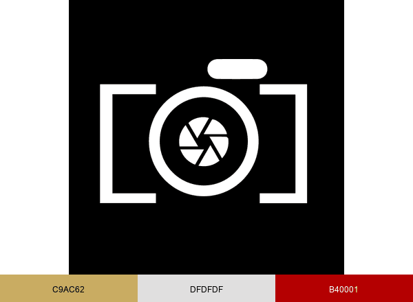 Fotoforma.pl brand color palette