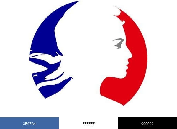 Embassy of France in the U.S. brand color palette