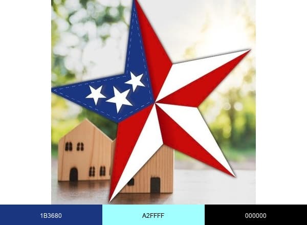 Freedom Caregivers brand color palette