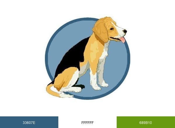 Animal Health Clinic brand color palette