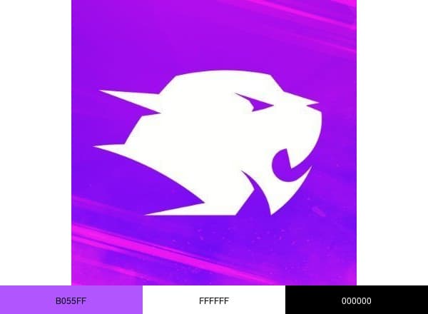 G4SkinsCOM brand color palette