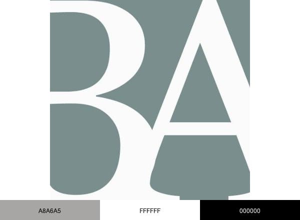 Berthet-Aittouarès brand color palette