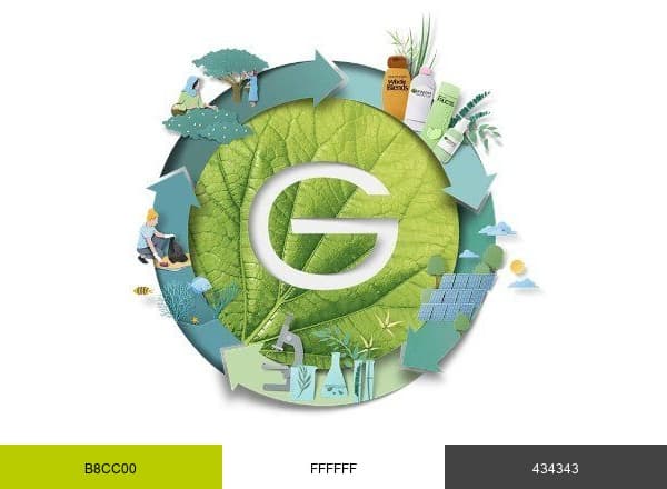 Garnier USA brand color palette