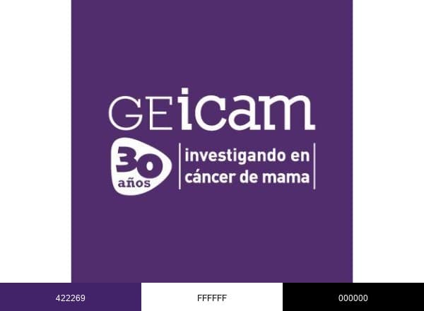 GEICAM brand color palette