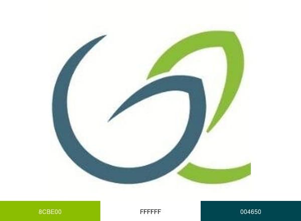 Genel Energy brand color palette