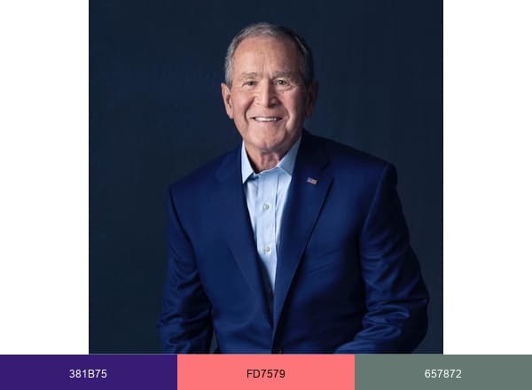 George W Bush brand color palette