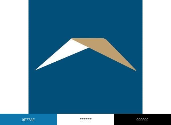 Georgia MLS brand color palette