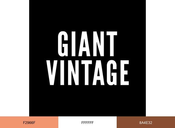 GIANT VINTAGE brand color palette