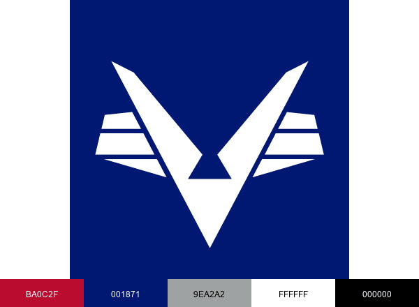 Civil Air Patrol brand color palette
