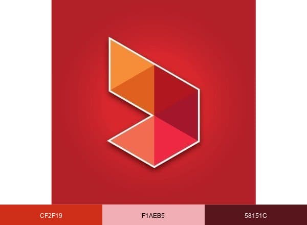 GoRaleigh brand color palette