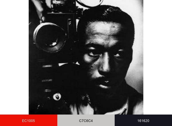 Gordon Parks Foundation brand color palette