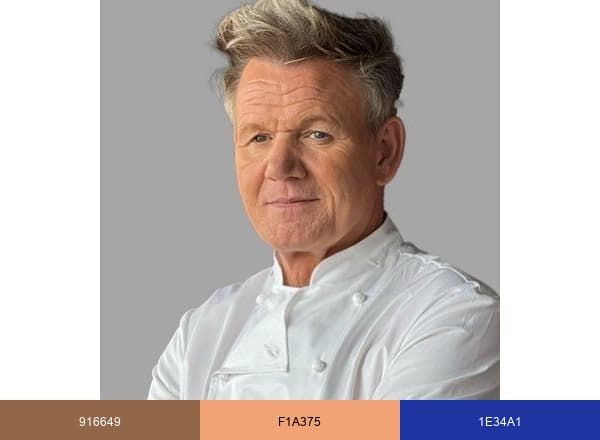 Gordon Ramsay brand color palette