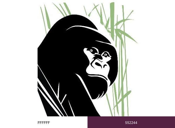 Gorilla Doctors brand color palette