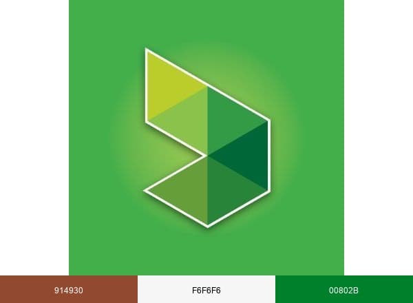 GoTriangle brand color palette
