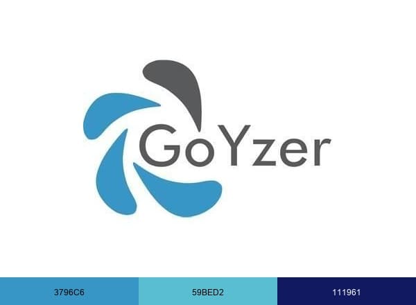 Goyzer Technology Solutions brand color palette