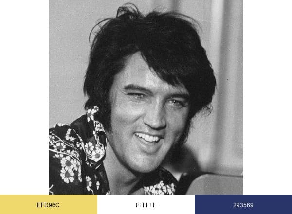 Graceland brand color palette